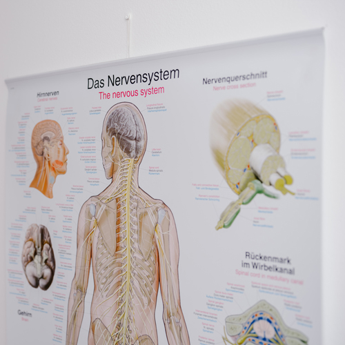 physiotherapie-nymphenburg-galerie6-v1 physiotherapie-nymphenburg- galerie6-v1
